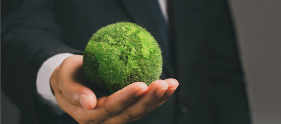 Green Finance: Transforming the Financial Sector for Sustainability