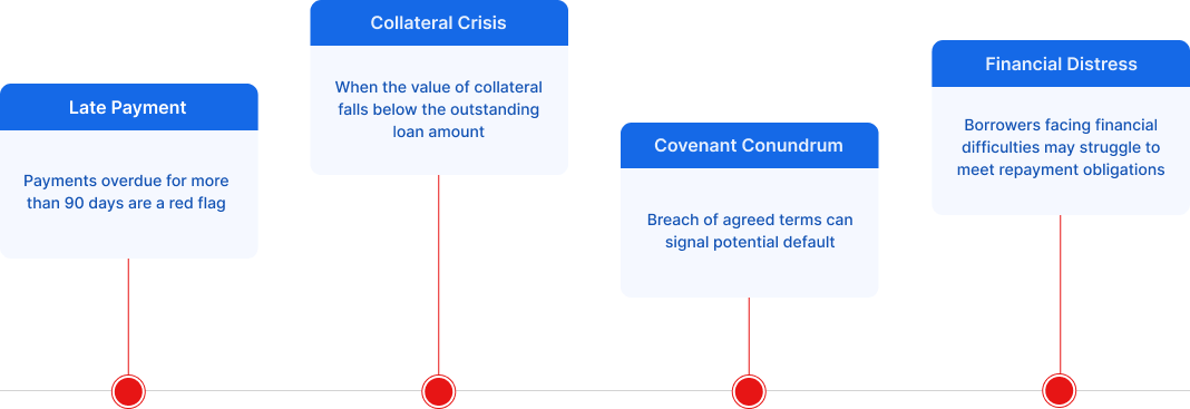 Key Indicators for Identifying NPLs