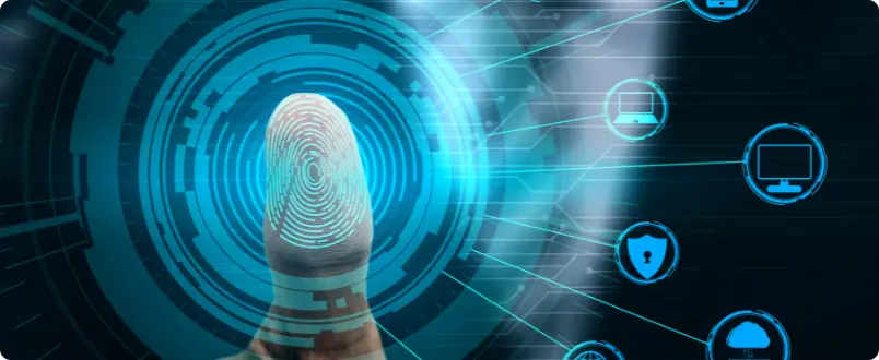 Role of Regulatory Support in Shaping Co-Lending